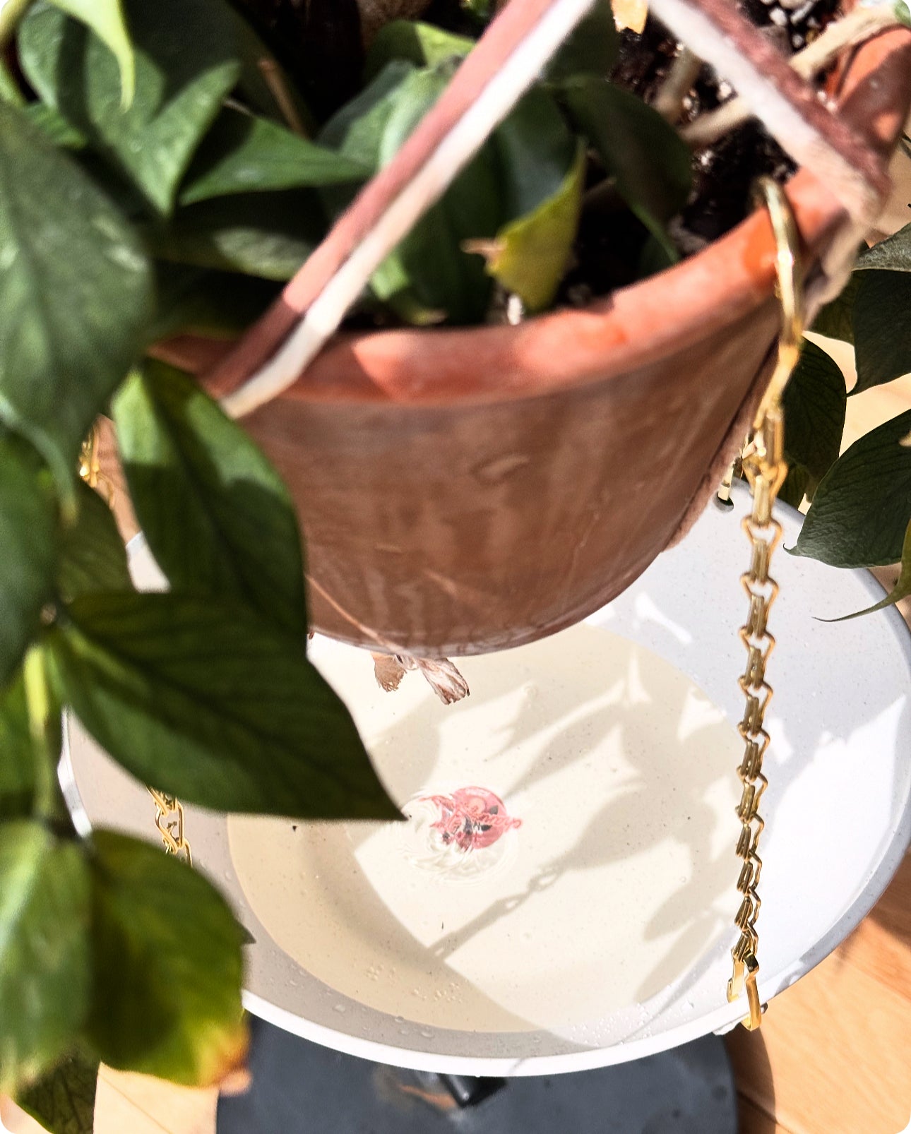 Albo Hanging Catch Tray