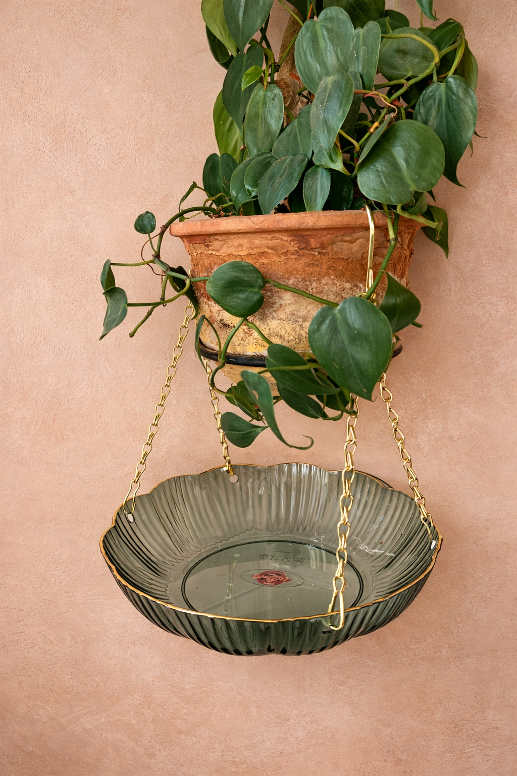 Scalloped Hanging Catch Tray in Jade