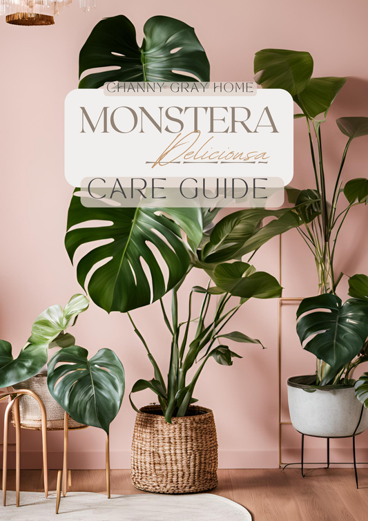 Monstera Deliciosa Care Guide