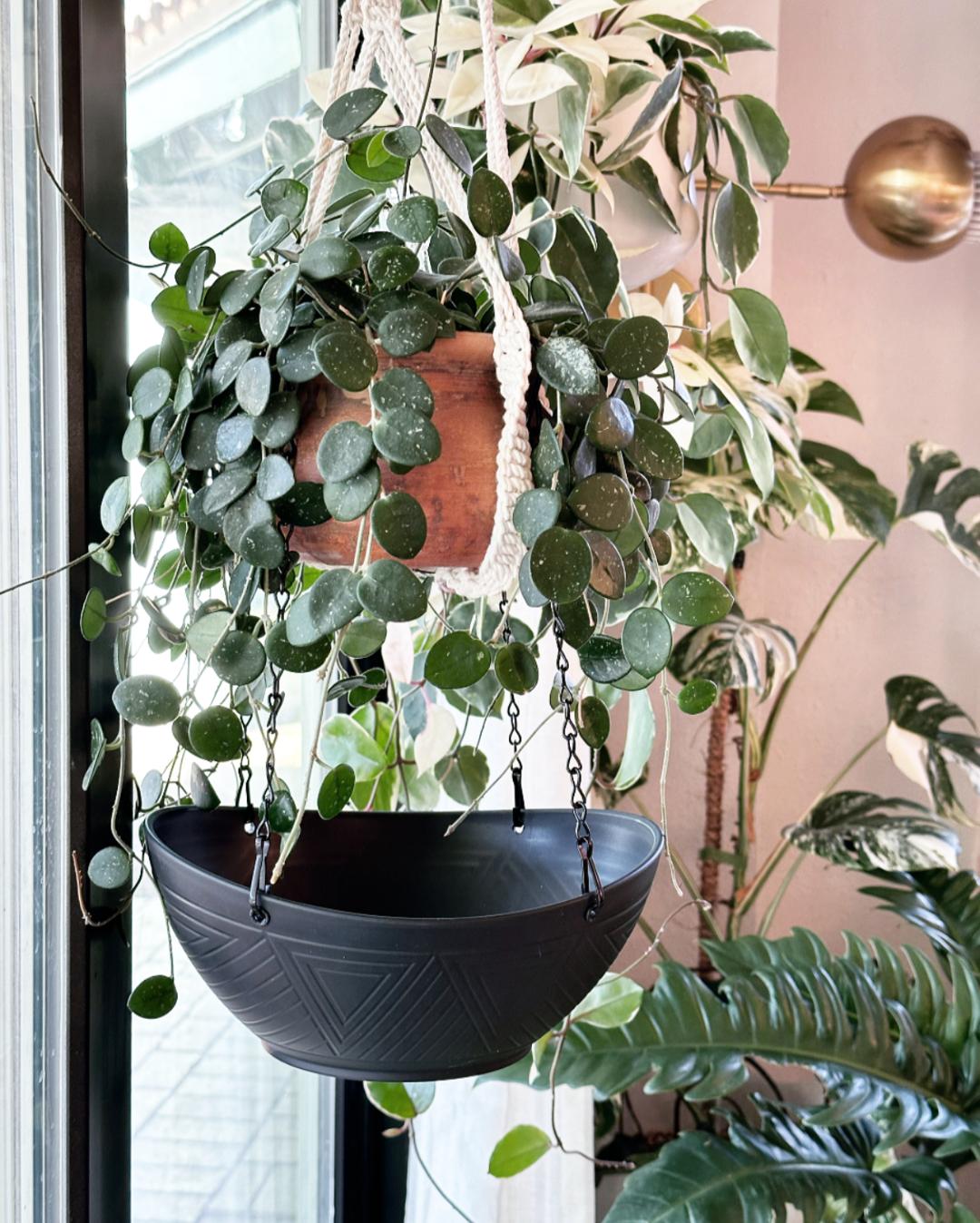 Hanging Catch Tray in Black