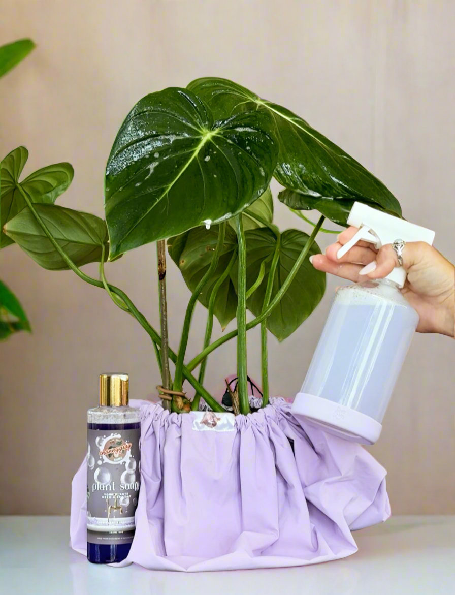 Plant Soap Spa Day Kit