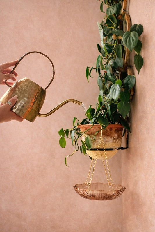 Scalloped Hanging Catch Tray in Amber