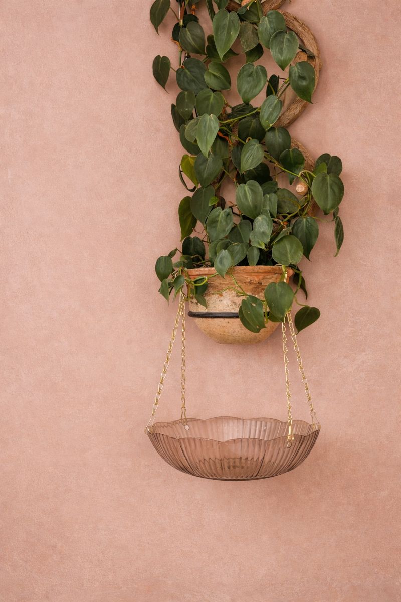 sale on hanging plants Scalloped Hanging Catch Tray in Amber – Channy Gray Home